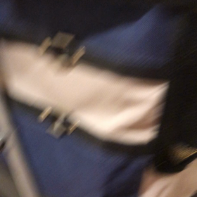 こんなんで大丈夫？　猫動画。の画像