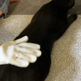 ナデナデ手袋の画像