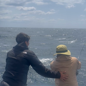 ブレイクの画像