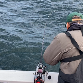 良型マアジ大漁続いてます。迷人船長も鼻高^_^の画像