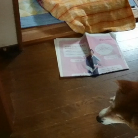 久しぶりの再会。。。なのにーの画像