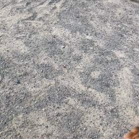 友達とご挨拶の画像