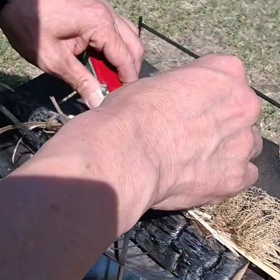 動画。。の画像