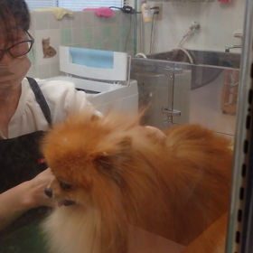 トリミング中の画像