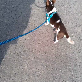 ”最高の誕生日プレゼント”の画像