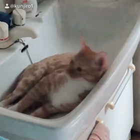 那由多2年前。の画像