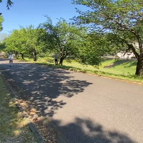 5/3 リレー選考会②の画像