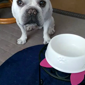 最近の自己主張の画像