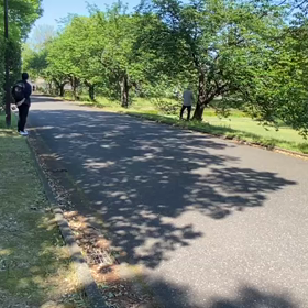 5/3 リレー選考会⑦の画像