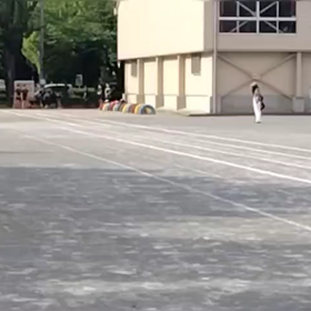 5/6 リレー選考会①の画像