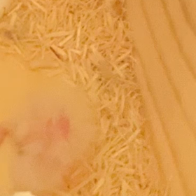心配しても仕方ないんだけどの画像