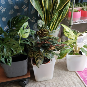 こんなこともの画像