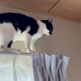 行き止まりのそのあとは…の画像