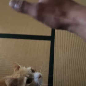 毎朝の日課の画像