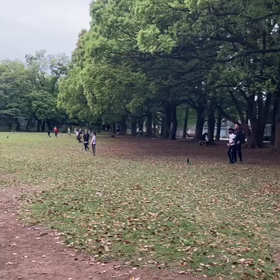 4/22 ジャベリックボール投げ練習③の画像