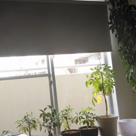 アメイジング・グレイスを弾いてみた♪(右手のみ)の画像