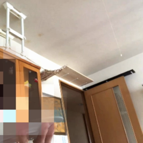 新入り子猫は納豆大好き！今日はパン食べすぎました。の画像