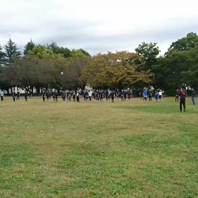 学年別インターバル(５年男子)の画像