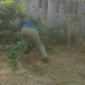 ベニッシモのドライバーさんの画像