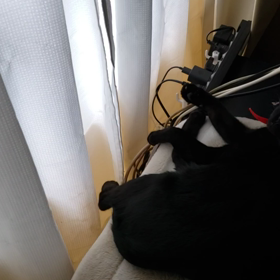 喜びのコロコロの画像