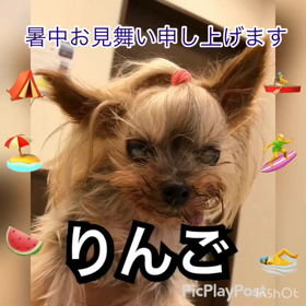 暑中お見舞い申し上げますの画像