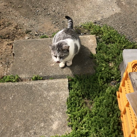 不思議な偶然の画像