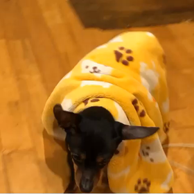 寒くなったからなのか？の画像