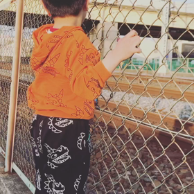 電車見物の画像