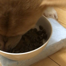 負けませんの画像