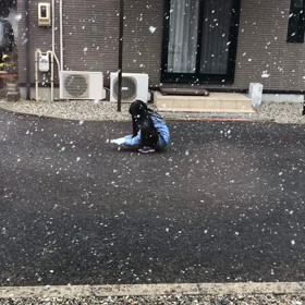 雪の画像