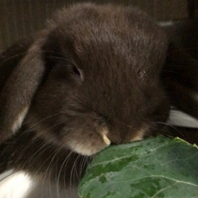 ただ食べてるだけpart2の画像