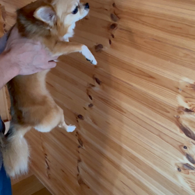 壁むにゅの画像