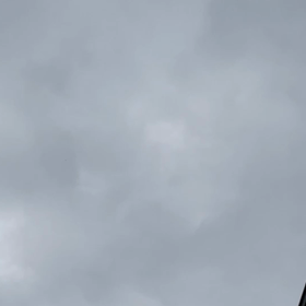 ☆ピーチクパーチク☆の画像