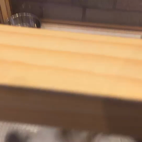 シーズーの画像