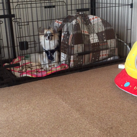 眠いんだけどの画像