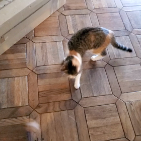 無事に終わって良かったー！の画像