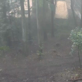 チャレンジの画像