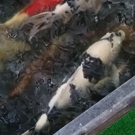 心配ごとの画像