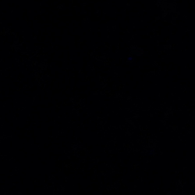 とんだ【蛍狩り】の画像