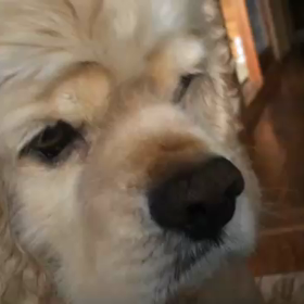 マシューと海。の画像