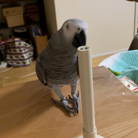 近況です^ ^の画像