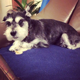 震えるぼくの画像