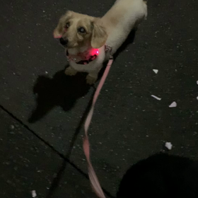 ダメな私。の画像