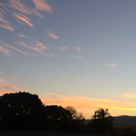 朝のご馳走の画像