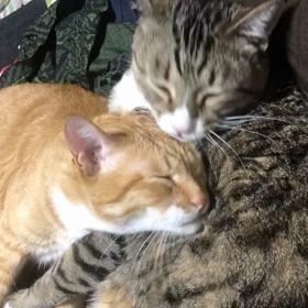 仲良し。の画像