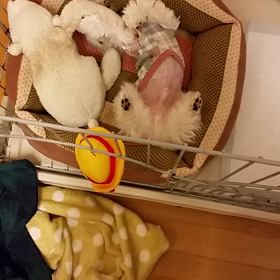 なかよしの画像