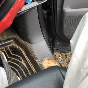 ジョウビタキ㉟『ボクに接近中』の画像