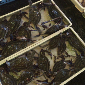 朝市は三文の得⁉︎の画像