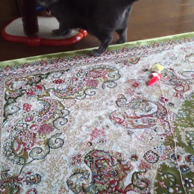 2/10 嫉妬？？の画像