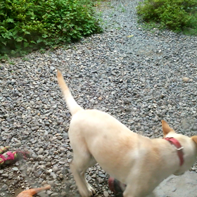 一人遊びが…の画像